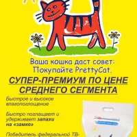 Клуб любителей кошек Котамур Фото 2 на проекте Blag.vetspravka.ru Клуб любителей кошек Котамур Фото 2 на проекте Blag.vetspravka.ru